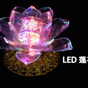 LED 莲花灯 LED Louts Lamp